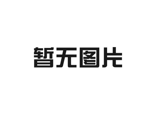 通力扶梯30齿单排哈弗齿轮